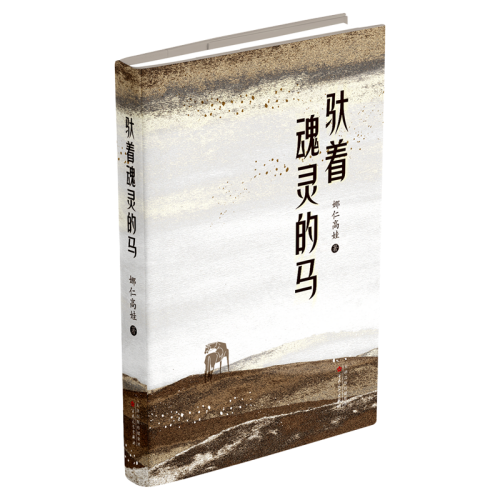 《驮着魂灵的马》-立体封_副本.png