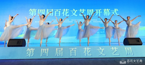 12芭蕾舞蹈《摇曳》_副本.jpg